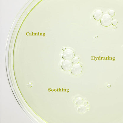 Beauty Of Joseon Calming Serum Green Tea + Panthenol - 30ml